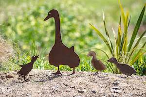 Birds: Duck Family