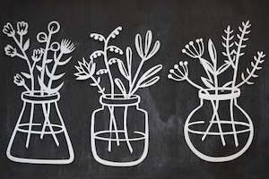 Garden: Flowers in Pots $30.00ea