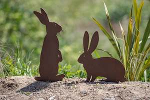 Animals: Rabbits each