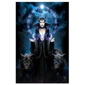 Products: Small Moon Witch Canvas Plaque by Anne Stokes