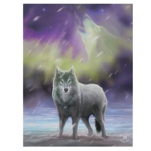 Products: Small Aurora Canvas by Anne Stokes