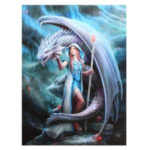 Small Dragon Mage Canvas by Anne Stokes