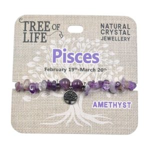 Products: Pisces Amethyst Bracelet