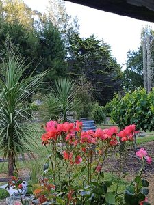 All wines: “Terrace Wines” – Christmas 2025 Six-Pack Special