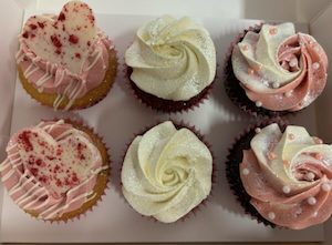 Products: Blush Pink Gift Box Delish Cupcakes