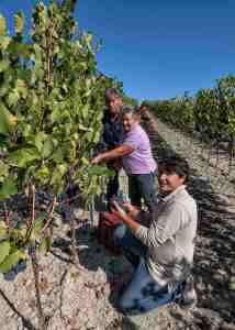 2024 Martoccia Chianti Montalcino DOCG