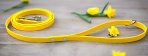 Dog Leads: 13mm Wide x 90cm long Leads Multiple Colours