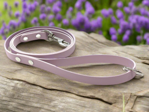 Dog Leads: 13mm Wide x 160cm long Leads Multiple Colours