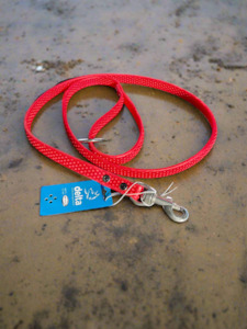 Dog Leads: Supergrip Biothane Dog Lead 19mm x 1.6M