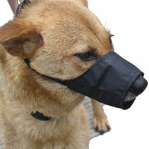Muzzles 1: Nylon Muzzle
