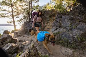 Dog Safety: Ruffwear Approach Pack