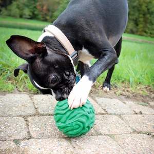 Best Sellers: PetKore Luna Ball for dogs