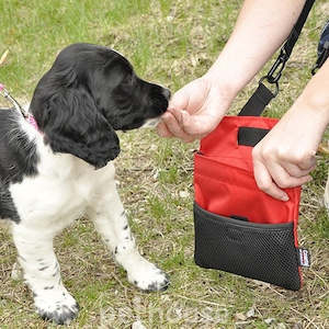Best Sellers: Coastal Multi-Function Dog Treat Bag