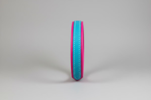 19mm Wide Accented  Biothane Dog Collars