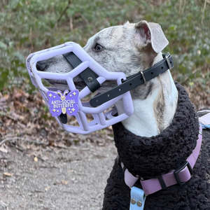 Dog Leads: Snooties™ – Muzzle Charm