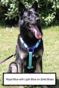 Biothane Harnesses: Biothane Harnesses Medium and Large 25mm wide multiple colours and options