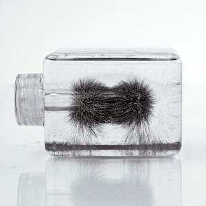 Physics: Iron Filings in Silicon Oil Model