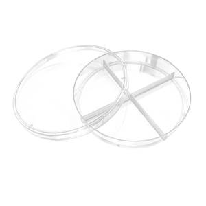 Earth Sciences: Choice Chamber