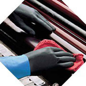 Protective Ware: Glove - Neoprene Large Pair