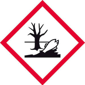 Storage 2: DG Self-Adhesive Label Eco Toxic, 240 x 240mm