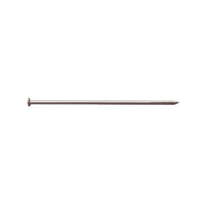 Dissecting Optical Pins 50mm - Pack 100