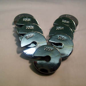 Masses Weights: Spare Slotted Masses 100g 6mm