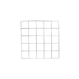 Quadrat Grid 50x50cm with 10cm squares