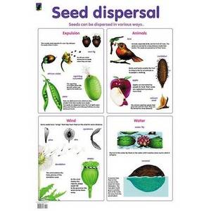 Seed Dispersal Poster