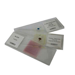 Prepared Slides: MICROSCOPE SLIDE SET ANIMAL TISSUES10, GLANDS