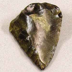 Anthropology: FOSSIL HOMINID TOOL LEVALLOIS BLADE