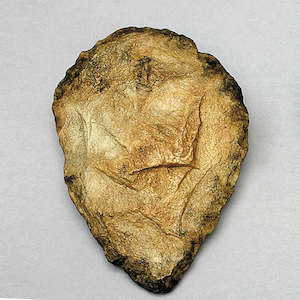 Anthropology: HAND AXE ACHEULEAN