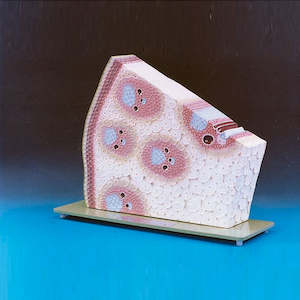 Botany: Monocotyledenous Plant Stalk