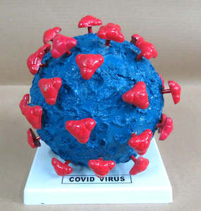 Covid Virus Model