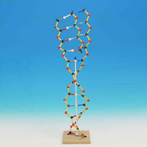 Cellular: Orbit DNA-RNA Model