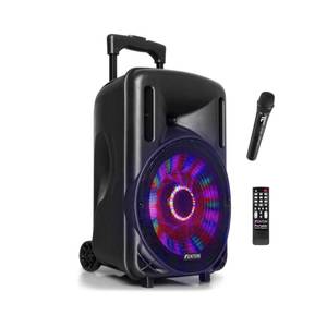 Audio Visual Equipment: Portable Sound System 10" 450W – Wireless PA Speaker with Microphone