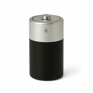 Accessories 3: Alkaline Battery C Size – Reliable Power for Medium‑Drain Devices