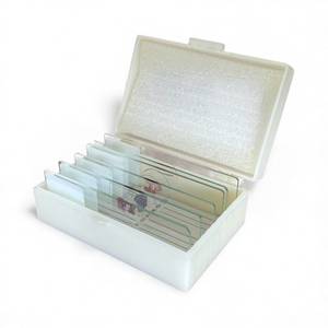 Microscope Slide Set – Animal Tissues: Muscle & Bone (6 Slides)