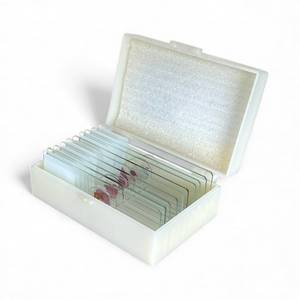 Microscope Slide Set – Animal Tissues: Nervous System (10 Slides)