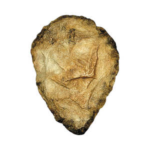 Anthropology: Acheulean Hand Axe Replica (Bone Clones®)