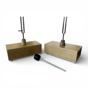 Tuning Fork Resonance Box – Sympathetic Beat Demonstration A426