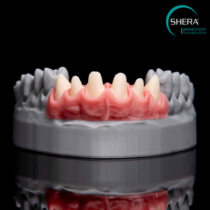 3D Printing: SHERAprint-gingiva, pink, 500g