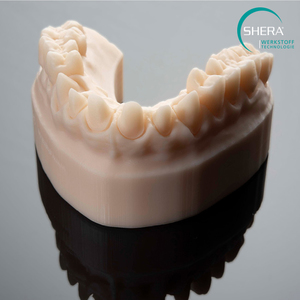 SHERAprint-model 2.0, desert, 1000g