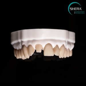 3D Printing: SHERAprint-model 2.0, smoky white, 1000g