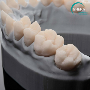 SHERAprint-model 2.0, stone, 1000g