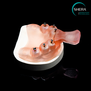 3D Printing: SHERAprint-tray, clear 2.0, 1000g