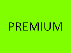 Frontpage: Premium Website and Service for One Year