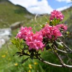 Products: Vitalizing toner