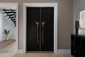 Door Levers