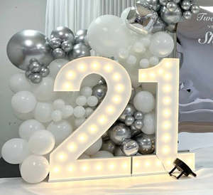 Numbered Led Lights: TAURANGA PARTY HIRE Marquee Lights Hire  0-9