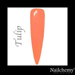 Nailchemy: TULIP - FAERIE GARDEN
